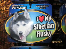purebred siberian husky for sale  Myrtle Beach