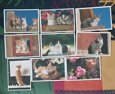 Katzen postkarten gebraucht kaufen  Wolfsburg