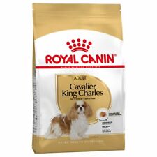 Royal canin dog usato  Carate Brianza