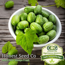 Mexican gherkin cucamelon for sale  Upland