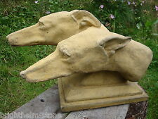 Greyhound dog heads for sale  HORSHAM