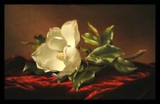 Framed magnolia grandiflora for sale  Pocasset
