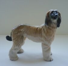 Afghan hound dog for sale  WARMINSTER