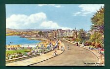 F E QUINTON,3800 THE ESPLANADE EXMOUTH,vintage postcard for sale  SOUTHEND-ON-SEA