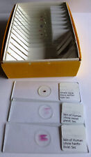Microscope slides x12 for sale  NORWICH