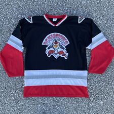 Vtg adirondack icehawks for sale  Glens Falls