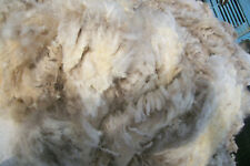Schafwolle rohwolle ungereinig gebraucht kaufen  Bekond, Leiwen, Riol