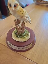 Leonardo barn owl for sale  ISLES OF SCILLY