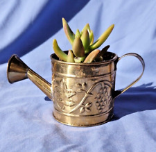 pot metal succulents for sale  Chandler