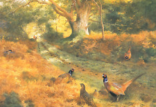 Pheasants bridle path. for sale  NELSON