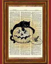 Halloween black cat for sale  Hernando