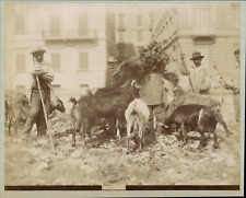 Italy bergers ca.1880 d'occasion  Expédié en Belgium