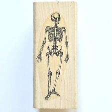 Skeletal remains wood for sale  Turlock