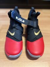 Nike lebron soldiers gebraucht kaufen  Etting,-Mailing