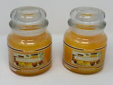 Nectarine honey yankee d'occasion  Expédié en Belgium