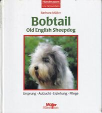 Bobtail english sheepdog gebraucht kaufen  Langenselbold