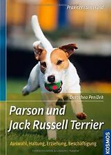 Parson jack russell gebraucht kaufen  Berlin