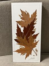 Naturally preserved maple for sale  Harvest