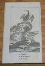 1791 antique animal for sale  Monroeville