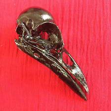 Crow skull genuine for sale  ALCESTER
