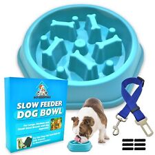 Slow feeder dog for sale  LEEDS