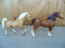 mare 4 stallions for sale  Saint Paul Park