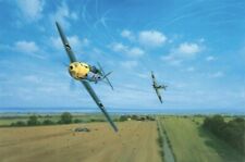 LOW LEVEL ENCOUNTER by Gerald Coulson signed by FOUR Luftwaffe & RAF Aces for sale  Shipping to Ireland