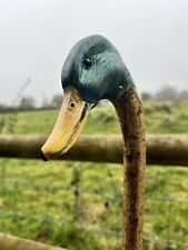 Mallard duck head for sale  WORCESTER