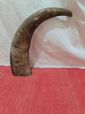 Water buffalo horn for sale  Shipping to Ireland