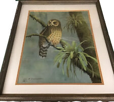 Eckelberry mottled owl for sale  Louisville