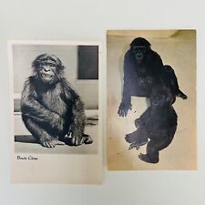 Lot vintage monkey for sale  Clovis