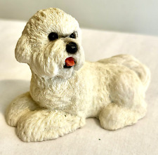 bichon puppies for sale  Danbury