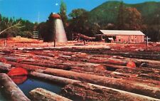 Old historic sawmill for sale  Henderson