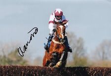 Horse racing charlie for sale  WALLINGTON