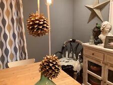 Pine cones set for sale  Gulf Breeze