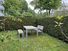 Gartenmöbel set gebraucht kaufen  Köln