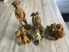 Adorable family meerkats for sale  GRIMSBY