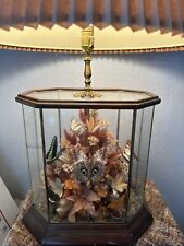 Vintage butterfly taxidermy for sale  Murrieta