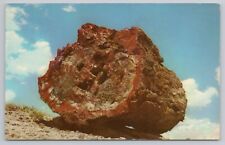 Large petrified log for sale  Shelbyville