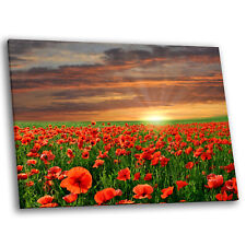 Framed canvas floral for sale  STRABANE