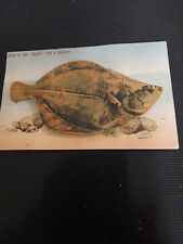 Vintage fish postcard for sale  LUDLOW