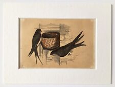 Swallow swift 1850 for sale  NORWICH