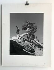 Carl brandauer photograph for sale  Santa Fe