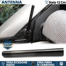 Antenna corta 12cm usato  Italia