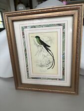 Hummingbird picture plate for sale  Blairstown