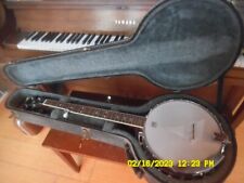 String alvarez banjo for sale  Fennville
