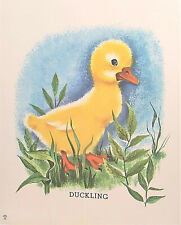 Charming baby duck for sale  Warwick