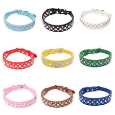 Dog collar leather for sale  PAISLEY