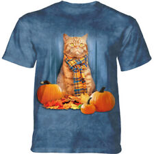 Orange tabby cat for sale  Greensboro