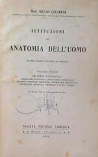 Istituzioni anatomia dell usato  Italia